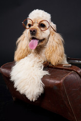 Similar image 8224963