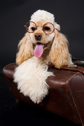 Similar image 8224965