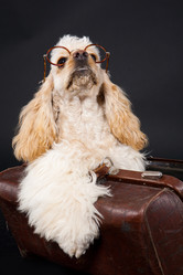 Similar image 8224967