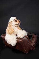 Similar image 8224969