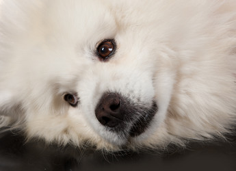 Similar image 8224976