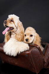 Similar image 8224978