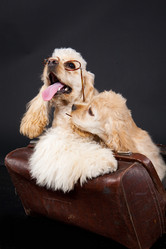 Similar image 8225000