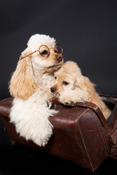 Similar image 8225077