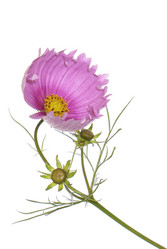 Similar image 8225386