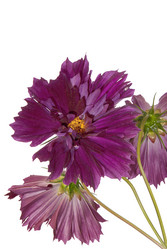 Similar image 8225387