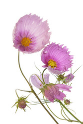 Similar image 8225390