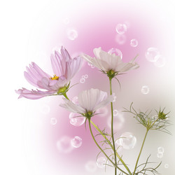 Similar image 8225391