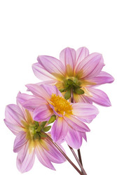 Similar image 8225406