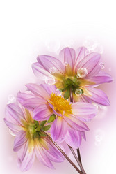 Similar image 8225407