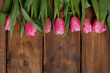 Similar image 8225610