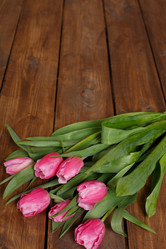 Similar image 8225626