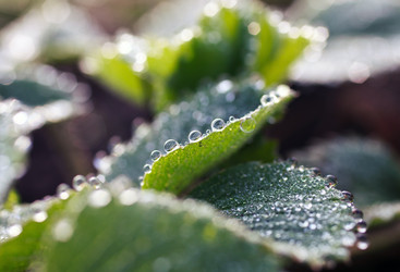 Similar image 8225692