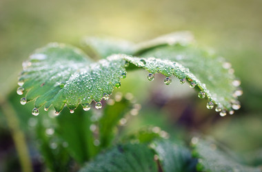 Similar image 8225696