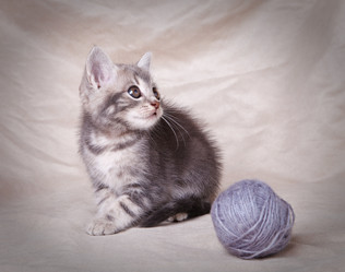 Similar image 8225700