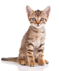 Similar image 8225702