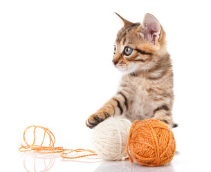 Similar image 8225703