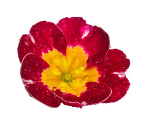 Similar image 8225705