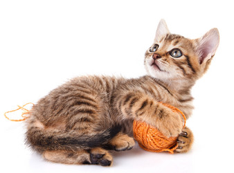 Similar image 8225710