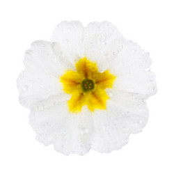 Similar image 8225714