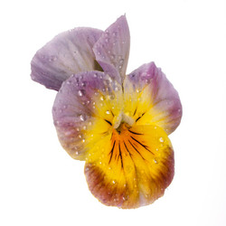 Similar image 8225715