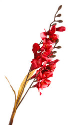 Similar image 8225717