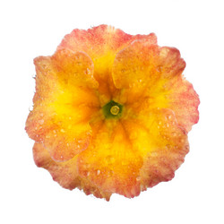 Similar image 8225719