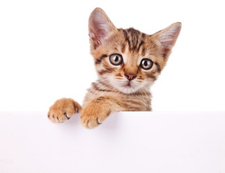 Similar image 8225723