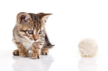 Similar image 8225725