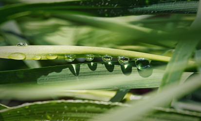 Similar image 8225763