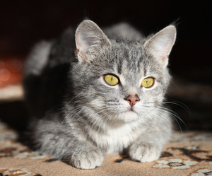 Similar image 8225766