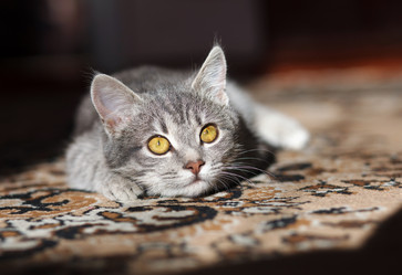 Similar image 8225771