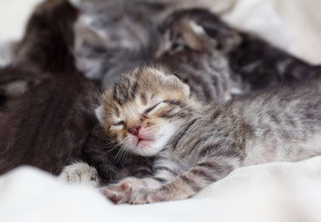 Similar image 8225772