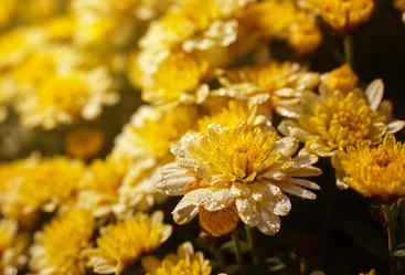 Similar image 8225775