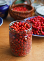 Similar image 8225777