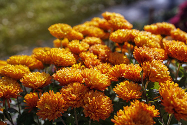 Similar image 8225782