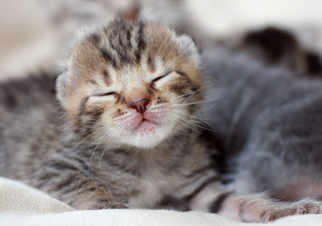 Similar image 8225784