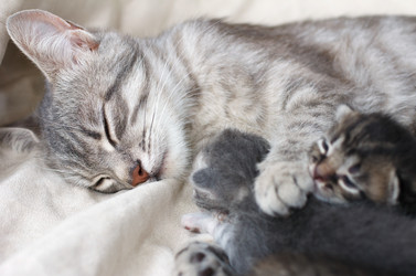 Similar image 8225787