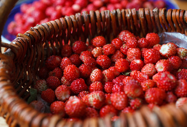 Similar image 8225789