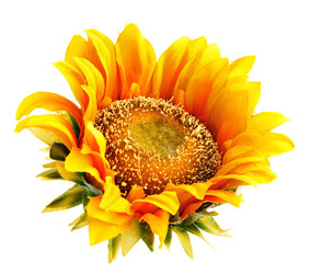 Similar image 8225834