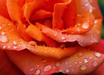 Similar image 8225842