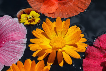 Similar image 8225868