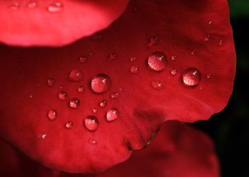 Similar image 8225907