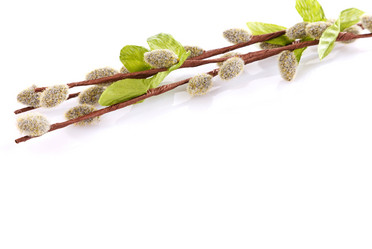 Similar image 8225911