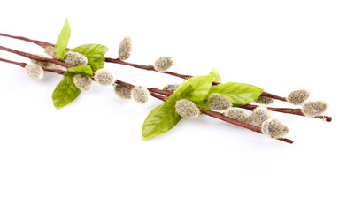 Similar image 8225912