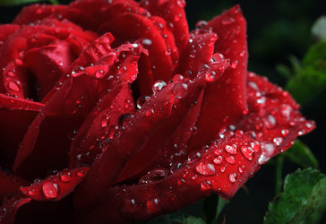 Similar image 8225917