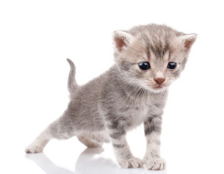 Similar image 8225918