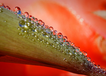 Similar image 8225927