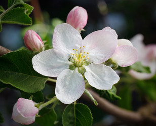 Similar image 8225928