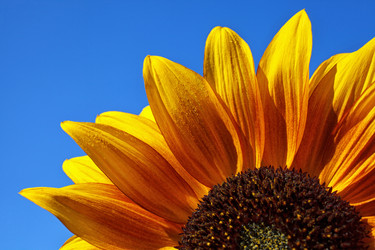 Similar image 8225929